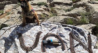 Van'da 22 şahıs hakkında adli işlem ve 5 tutuklama
