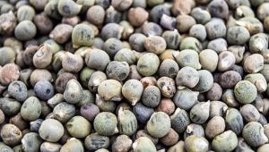 MUCİZEVİ BESİN HERKESİN TÜKETMESİ GEREK