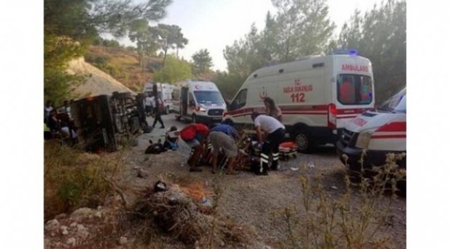 Safari cipi devrildi: 16 yaralı