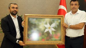 Edremit Tokililere Müjde