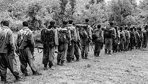 PKK'nın Dağ Kadrosu Geriliyor