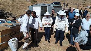 VAN'DA ŞÜKÜR DUASINDA ARI SALDIRISI