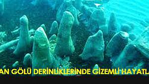 VAN GÖLÜ DERİNLİKLERİNDE GİZEMLİ HAYATLAR