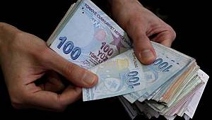 Çitçinin 2020 yılı destekleri belli oldu