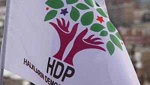 HDP, Dikkatleri Üstüne Çekti