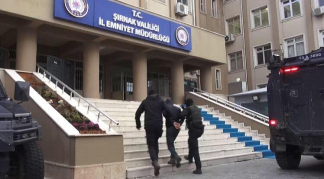Şırnak'ta terör örgütü operasyonu: 14 gözaltı