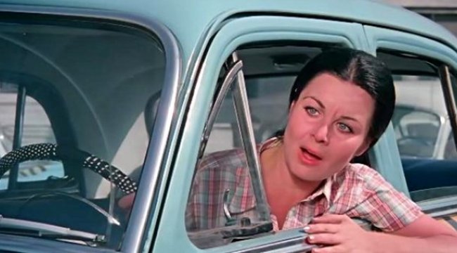 Şoför Nebahat filmi gerçek oldu, görenler şaşkınlığını gizleyemedi