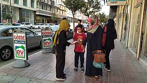 Van, Sokak Hayvanlarına Sahip Çıkmaya Devam Ediyor
