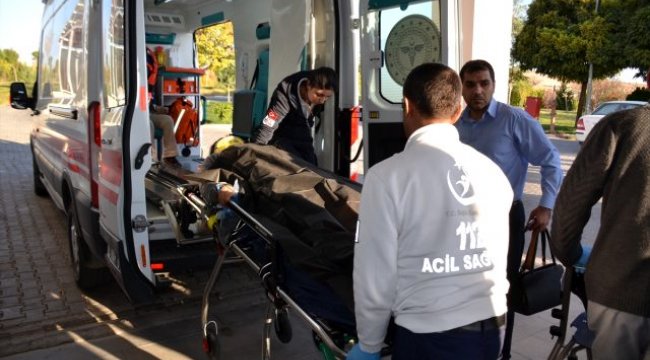 Otomobil şarampole devrildi: 6 yaralı