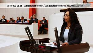 VAN MİLLETVEKİLİ ORHAN, "HALKA KÖMÜR YERİNE TAŞ DAĞITTILAR"