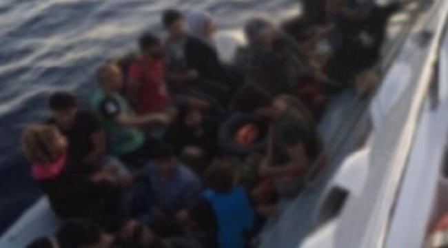 113 düzensiz göçmen yakalandı