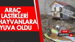 Araç Lastikleri Hayvanlara Yuva Oldu