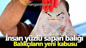 BALIKÇILARIN YENİ KABUSU