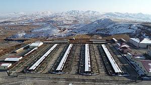 Beş yıldızlı hayvan oteli, hayvanların sıcak yuvası oldu