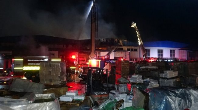 Düzce’de fabrikada yangın (3)