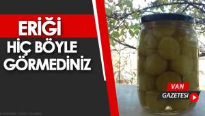İşte Van Kompostosu