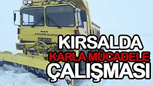 KIRSALDA KARLA MÜCADELE ÇALIŞMASI