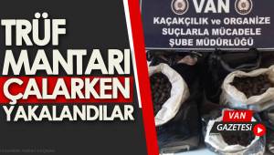 TRÜF MANTARI ÇALARKEN YAKALANDILAR