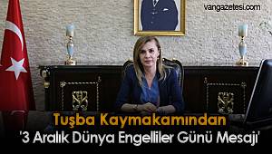 Tuşba Kaymakamından '3 Aralık Dünya Engelliler Günü Mesajı'