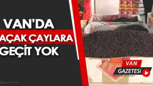 Van'da Kaçak Çaylara Geçit Yok