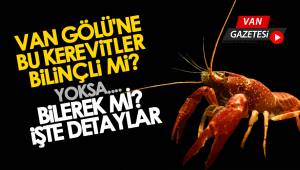 VAN GÖLÜ'NE BU KEREVİTLER BİLİNÇLİ Mİ? YOKSA BİLEREK Mİ? İŞTE DETAYLAR