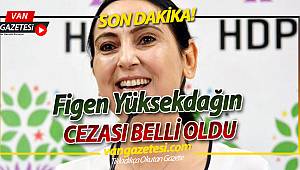 FİGEN YÜKSEK DAĞIN CEZASI BELLİ OLDU