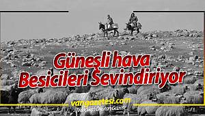 GÜNEŞLİ HAVA BESİCİLERİN YÜZÜNÜ GÜLDÜRDÜ