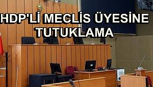 HDP'li Meclis Üyesine Tutuklama