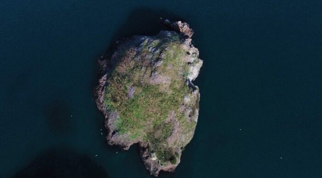 Kuşların Ordu’daki yaşam alanı: “Hoynat Adası”