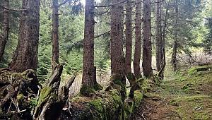 VALİLİK KORUMA ALTINA ALDI