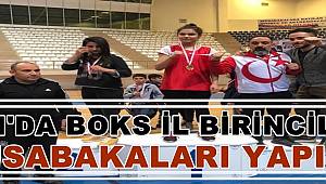 VAN'DA BOKS İL BİRİNCİLİĞİ MÜSABAKALARI YAPILDI