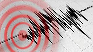 Van'da Korkutan Deprem