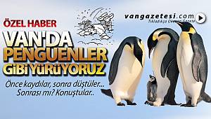 VAN'DA PENGUENLER GİBİ YÜRÜYORUZ | vanhaber vangazetesi