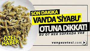 VAN'DA 'SİYABU' OTUNA DİKKAT! 