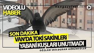 Toki Sakinlerinden Kuşlara Yardım Eli