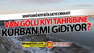 Van Gölünü Bekleyen Tehlike