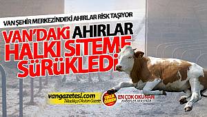 Van Şehir Merkezindeki Ahırlar Risk Taşıyor