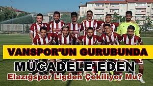 Vanspor'un Grubunda Mücale Eden Elazığspor Ligden Çekiliyor Mu?