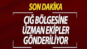 Ağrı'dan 4 kişilik uzman ekip Bahçesaray'daki çığ bölgesine gitti