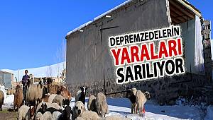 BAŞKALE’DEKİ DEPREMZEDELERİN YARALARI SARILIYOR