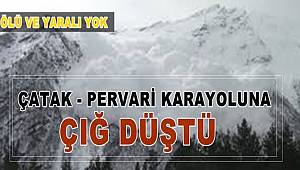 Çatak-Pervari kara yoluna çığ düştü