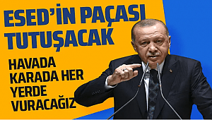  Cumhurbaşkanı açıkladı Esed her yerde vurulacak