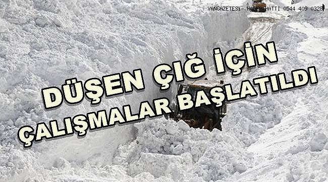 Düşen Çığ İçin Çalışmalar Başlatıldı