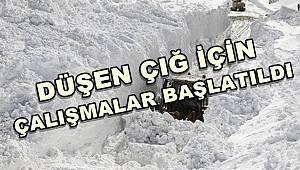 Düşen Çığ İçin Çalışmalar Başlatıldı