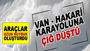 Hakkari-Van kara yoluna çığ düştü. Araçlar Uzun Kuyruk Oluşturdu