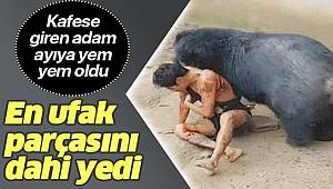 Kafese giren adam ayı ile karşılaşınca bakın nasıl yem oldu