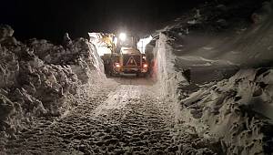 KARLA MÜCADELE EKİPLERİNİN KURTARDIĞI KADIN İKİZ DOĞURDU