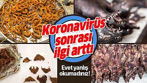 Korona virüs sonrası yarasa ve fare pazarına ilgi arttı