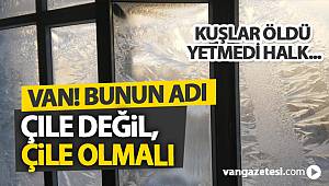 VAN! BUNUN ADI ÇILE DEĞİL, ÇİLE OLMALI - Van Haber