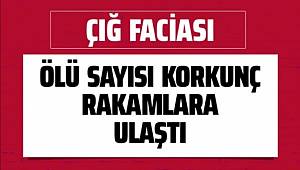 Van'da ikinci çığ faciası! Ölü sayısı giderek artıyor işte son rakam